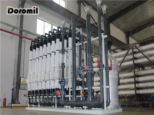 天然引領(lǐng)轉(zhuǎn)型 普通工業(yè)食品邁向健康化發(fā)展的東莞軟件開發(fā)新機(jī)遇