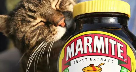 餐飲業戰“疫”新動向 海底撈精釀線下擴張，BrewDog跨界酵母醬，行業自救各顯神通