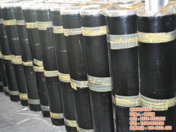 sbs防水卷材優點 十堰sbs防水卷材 寶龍防水材料